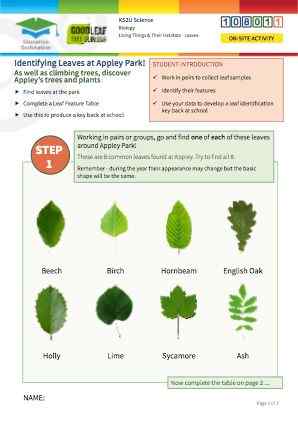 Click to view Resource 108011 Identifying trees at Appley Park