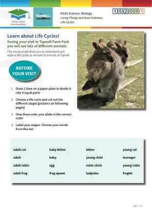 Click to view Resource 152091 Life Cycles of Mammals and Birds